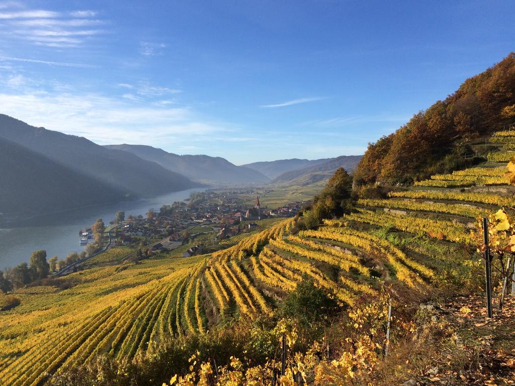 Weingut Langmayer Wösendorf Exteriér fotografie